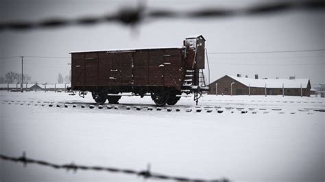 The Man Who Survived Eight Nazi Death Camps Bbc News