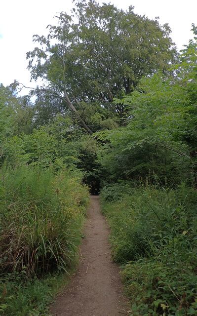 The Cleveland Way Crow Wood Skelton Habiloid Geograph Britain