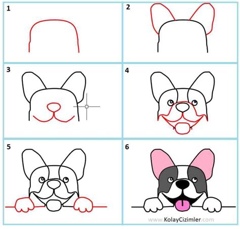 How To Draw A Cute Bulldog Dog Easy Drawing İdeas For Kids