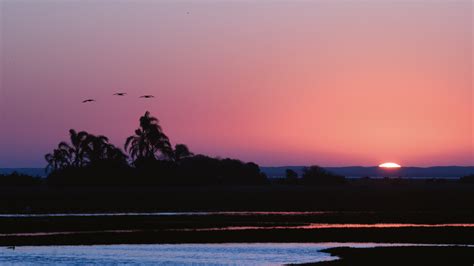 Exposi O Fotogr Fica Biomas Anos Wwf Brasil Wwf Brasil