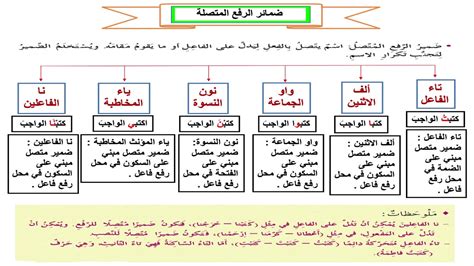 ضمائر الرفع المتصلة درس تعليمي Youtube