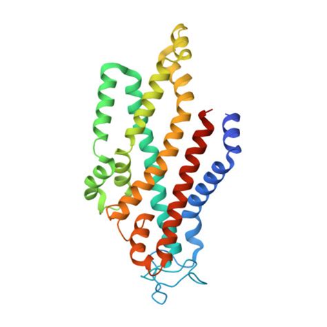 RCSB PDB 8J5Q Cryo EM Structure Of Mycobacterium Tuberculosis