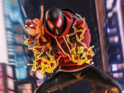 Hk St Batch Hot Toys Marvel S Spider Man Miles Morales Spider Man Bodega Cat Suit