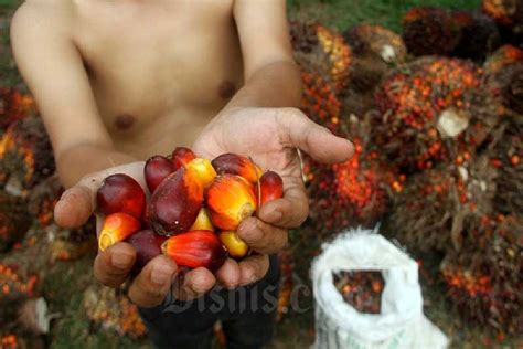 Kejagung Periksa Pegawai Kemenko Perekonomian Terkait Dugaan Korupsi