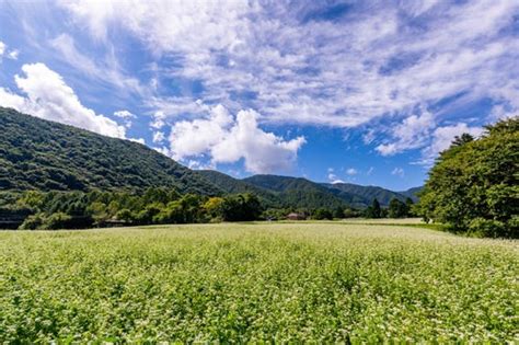 広大な農場と青空の無料写真素材 Id3362｜ぱくたそ