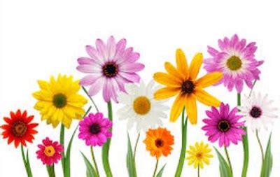 Free may flowers clipart – Clipartix