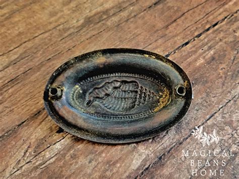 Antique Keeler Brass Co Oval Sea Shell Hepplewhite Drawer Pulls