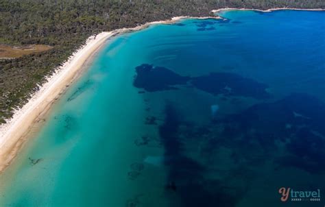 Why Freycinet National Park Is My Favourite Place In Tasmania Y Travel Blog Bloglovin’