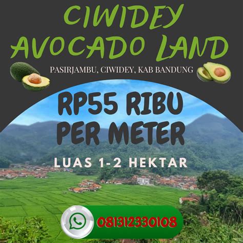 Jual Kebun Luas Di Ciwidey Bandung Cocok Untuk Wisata View Cantik