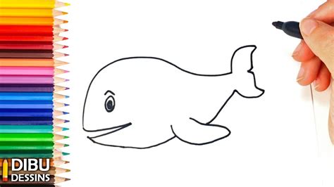 Comment Dessiner Une Baleine Dessin De Baleine YouTube