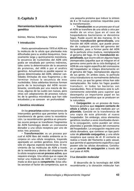 Técnicas del ADN Recombinante Ingeniería Genética Textsingenieria