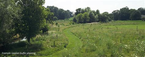 Project Spotlights: Riparian Buffer Designs - LandStudies