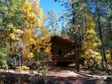 Pinetop Cabin Rental Vacation AZ (3) - White Mountain Cabin Rentals