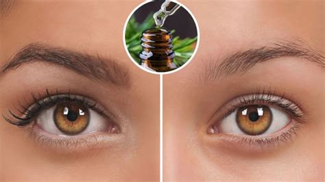 4 huiles pour des sourcils plus épais sourcils épais naturellement