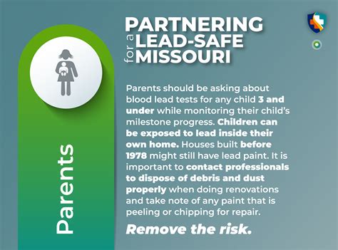 National Lead Poisoning Prevention Week Partnering For A Lead Safe Missouri Lead Prevention