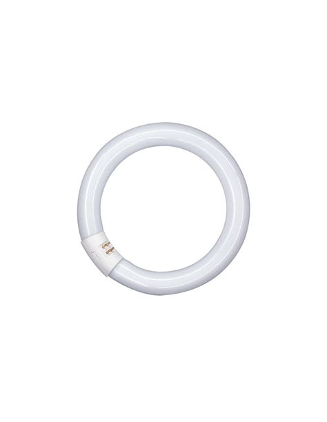 Osram Lumilux Circular W G Q