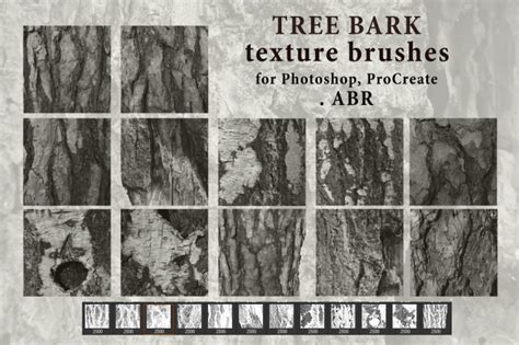 Tree Bark Texture Brushes For Photoshop Procreate Abr By Svetlana