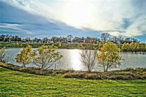 Free Images Landscape Sea Tree Water Nature Grass Horizon