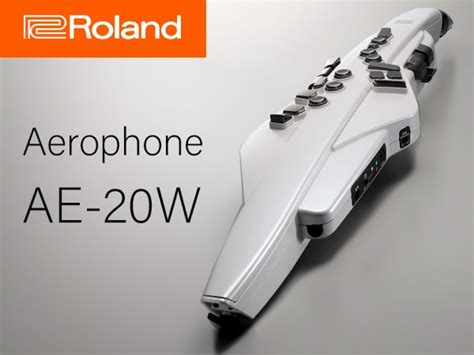 Rolandaerophone Ae