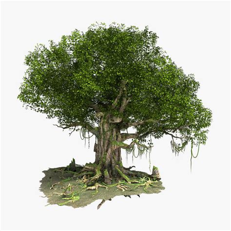 Fantastic Tree Model 3D model | CGTrader