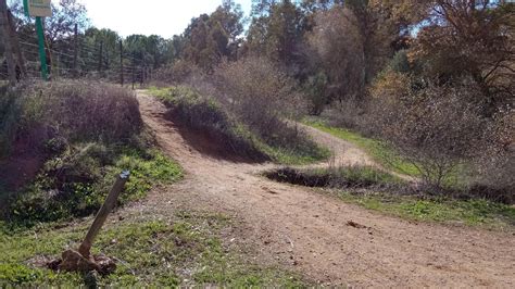 Las Im Genes De La Ruta Ornitol Gica Del Corredor Verde