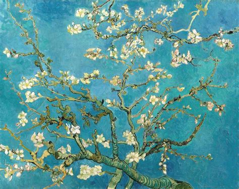 Amendoeira Em Flor De Vincent Van Gogh Tela Para Quadro Na Santhatela