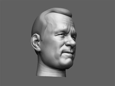 European Male Head Sculpt 3d Model Cgtrader