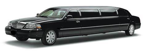 limousine car indonesia matalie  profile