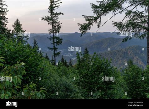 Gutach Black Forest Railway Hi Res Stock Photography And Images Alamy