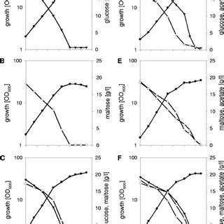 Growth And Substrate Utilization During Representative Shake Flask