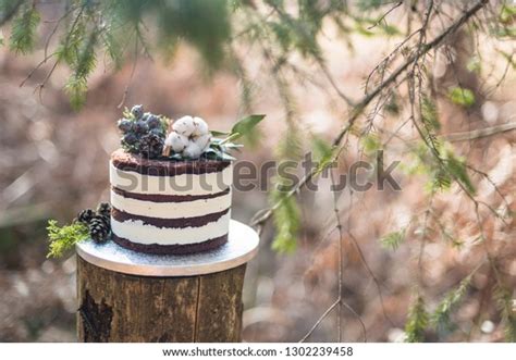 Naked Chocolate Cake Forest Stock Photo Shutterstock