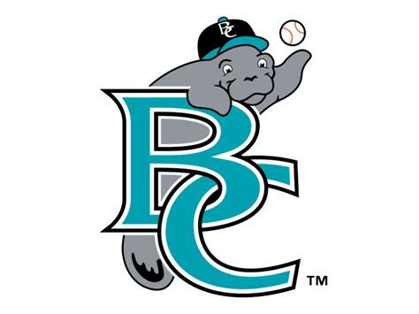 Brevard County Manatees 03 Logo PNG Transparent SVG Vector Freebie