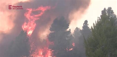 El Fuego Arrasa Ya M S De Tres Mil Hect Reas En Las Provincias De