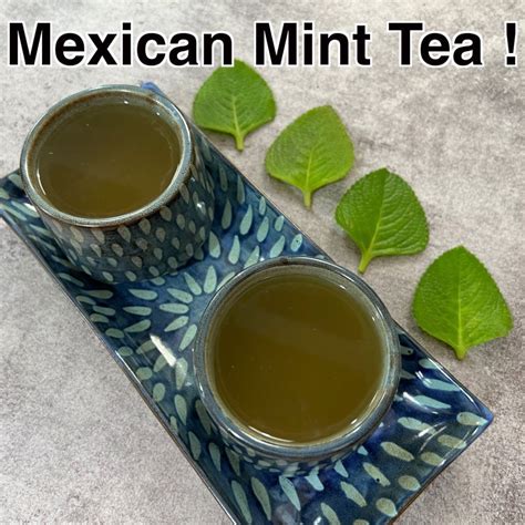 Ginger And Mexican Mint Tea Herbal Tea Tea Recipe Ginger And