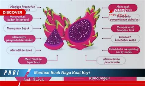 Temukan Manfaat Buah Naga Buat Bayi Yang Wajib Kamu Intip