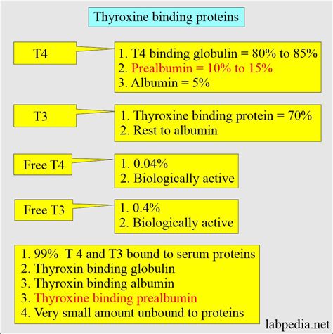 Thyroid Part 1 Thyroid Function Tests Thyroid Hormones T4 T3 Tsh