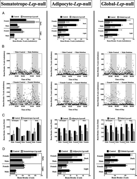 activity levels  lines activity levels  displayed