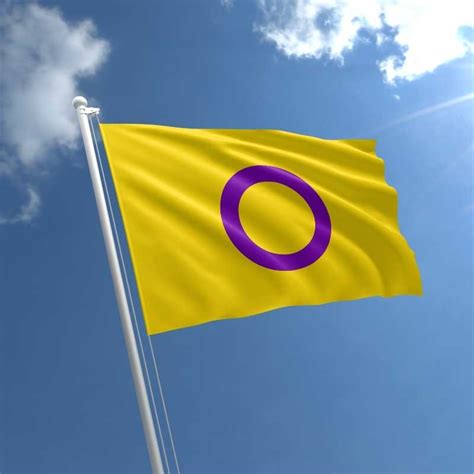 Intersex Pride Flag