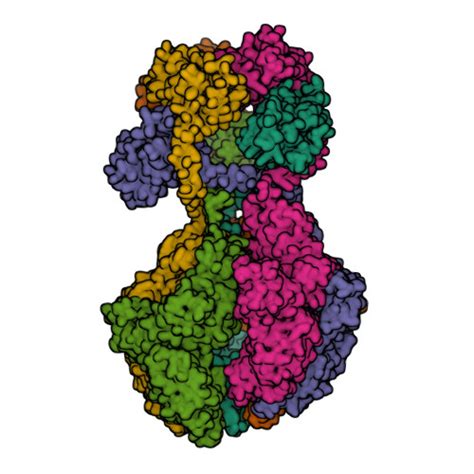 Gene P Protein Lonp Overview Cansar Ai