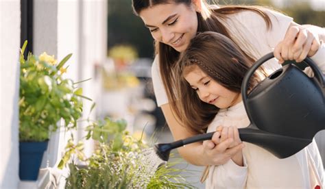 ¿a Qué Hora Es Mejor Regar Las Plantas ¡y Otros Consejos