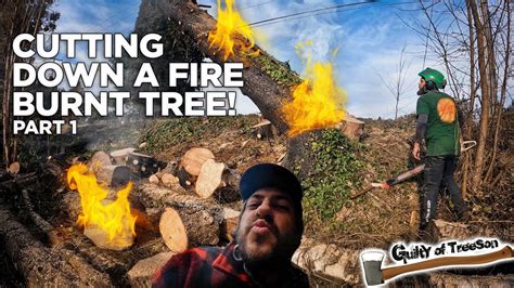 Cutting Down A Fire Burned Tree With Randy Part 1 Youtube