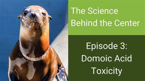 The Science Behind The Center Domoic Acid Toxicity In California Sea