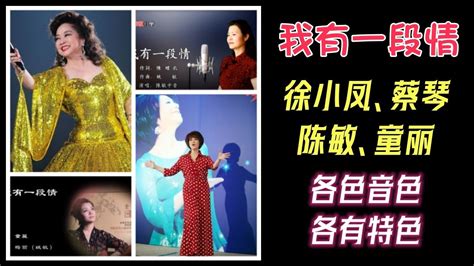 小提琴《我有一段情》☞☞徐小凤☞☞蔡琴☞☞陈敏☞☞童丽 各种音色，各有特色，难以割舍，一并奉上吧。 Youtube