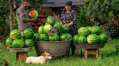 Summer Watermelon Delights Effortless Watermelon Treats Youtube