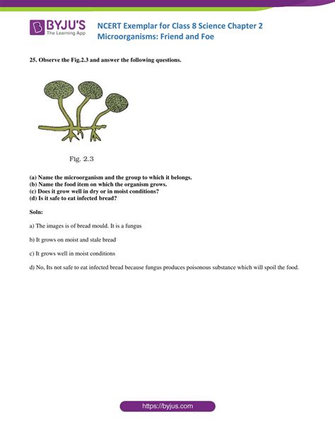 Ncert Exemplar Class Science Solutions Chapter Microorganisms