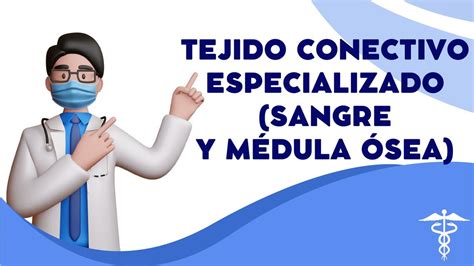 tejido conectivo sangre y médula ósea Escuela medica uDocz