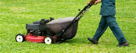 Bien Entretenir Sa Tondeuse Une Tape Essentielle Pour Un Beau Jardin