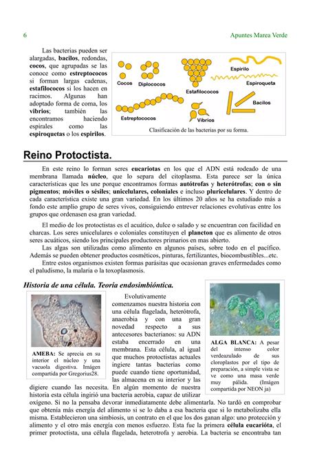 Clasificasion De Los Seres Vivos PDF