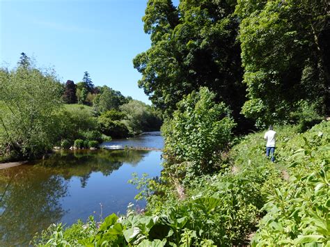 River Till Northumberland May 2017 Alljengi Flickr