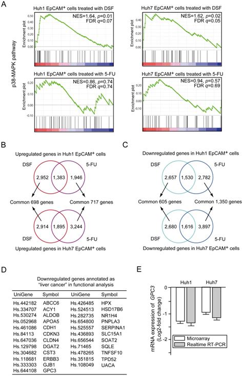 A Gene Set Enrichment Analysis Gsea Of The P38 Mapk Signaling